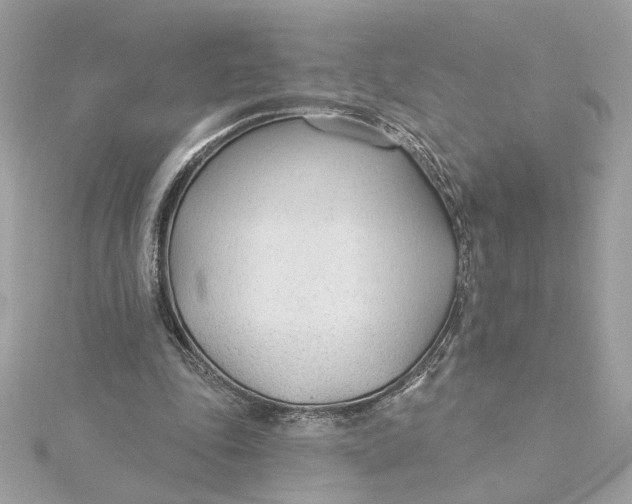 X0000115430343200911251230