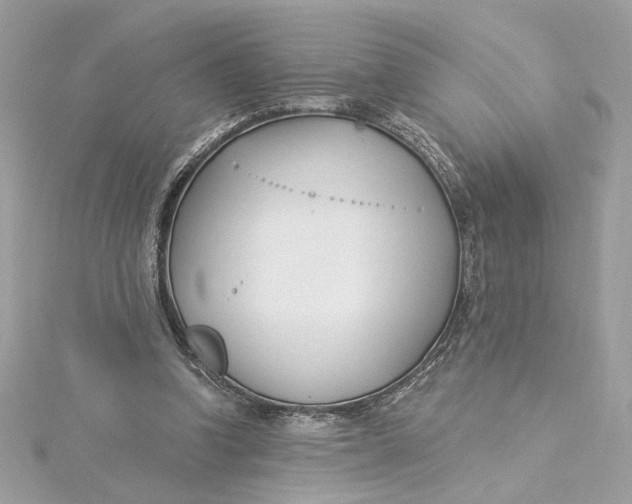 X0000115430346200911251230