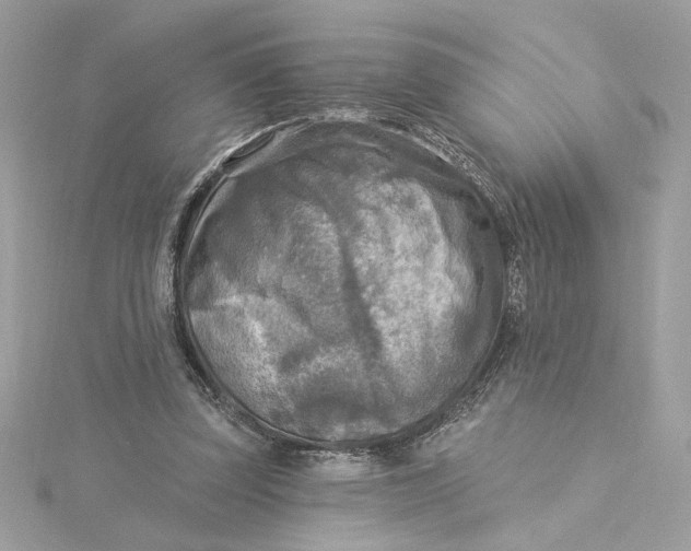 X0000115430347200911251230