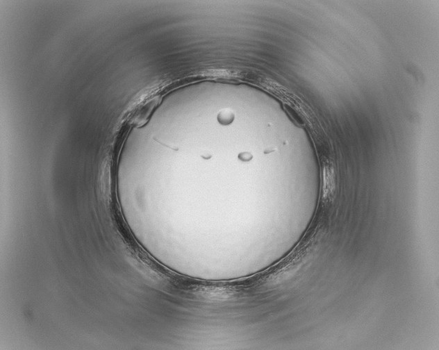 X0000115430349200911251230