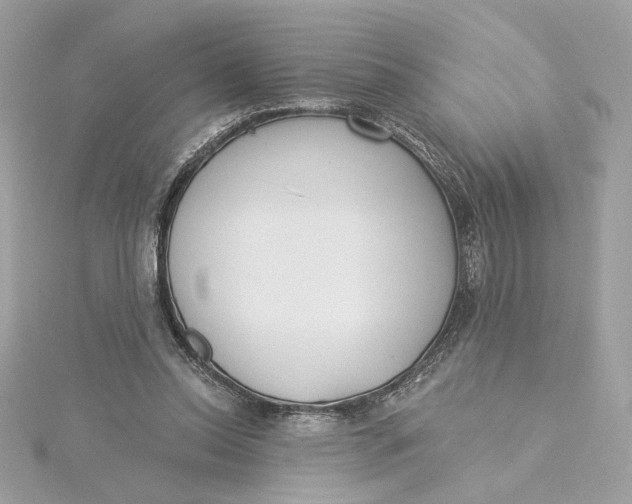 X0000115430350200911251230