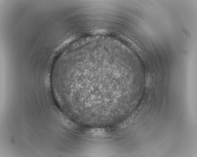 X0000115430353200911251230