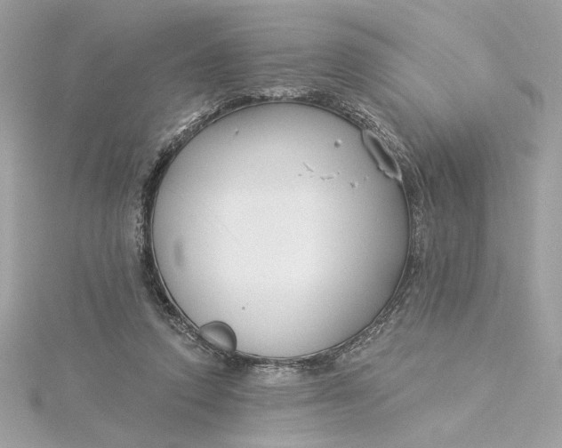 X0000115430354200911251230