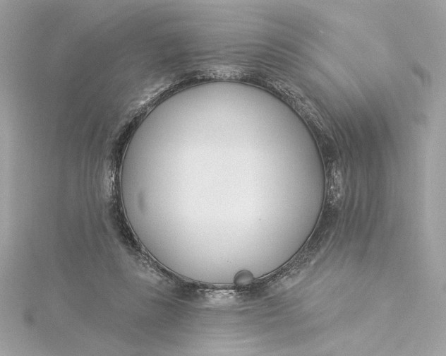 X0000115430355200911251230