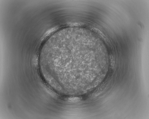 X0000115430357200911251230