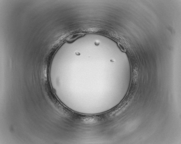 X0000115430358200911251230