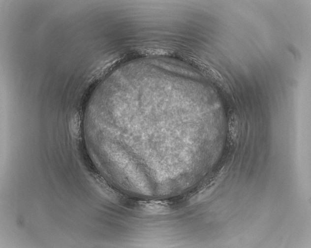 X0000115430359200911251230