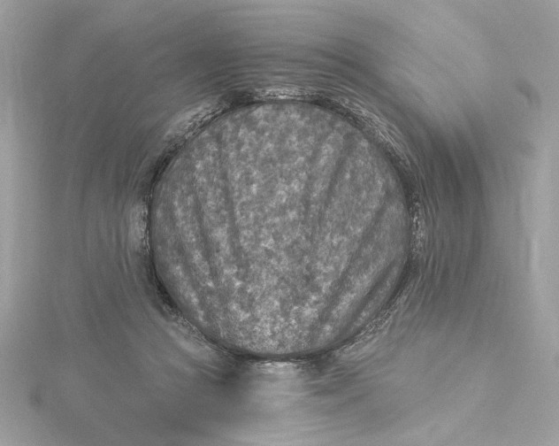 X0000115430361200911251230