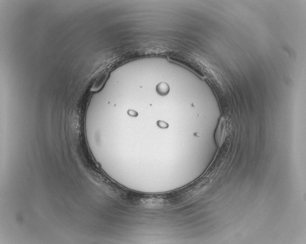 X0000115430362200911251230