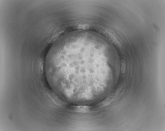 X0000115430363200911251230