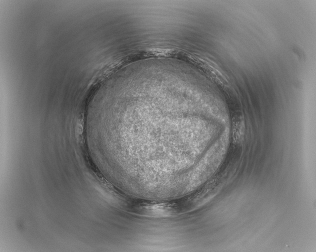 X0000115430365200911251230