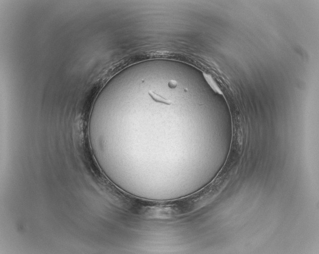 X0000115430366200911251230