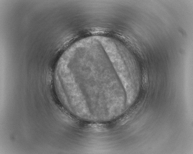 X0000115430367200911251230