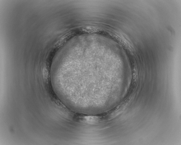 X0000115430371200911251230