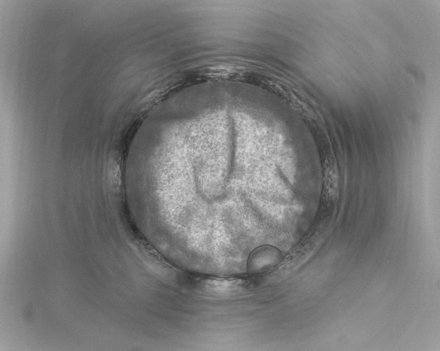 X0000115430375200911251231