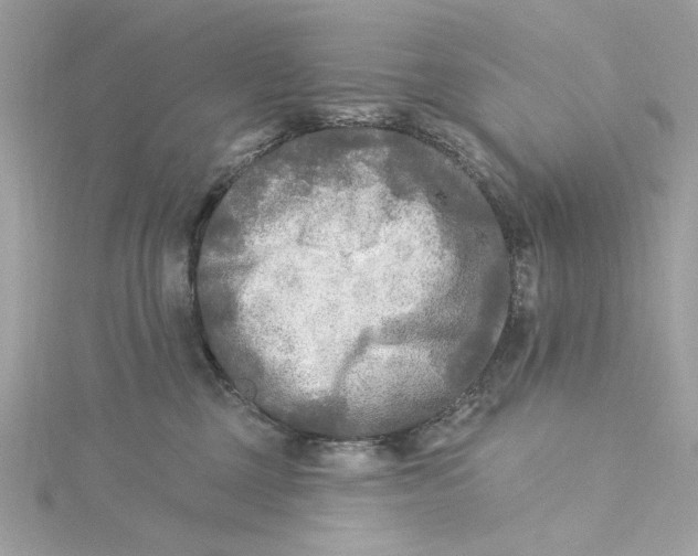 X0000115430377200911251231