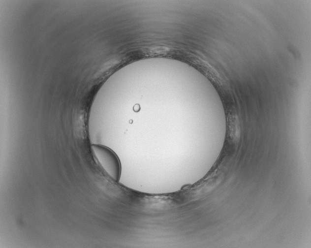 X0000115430378200911251231