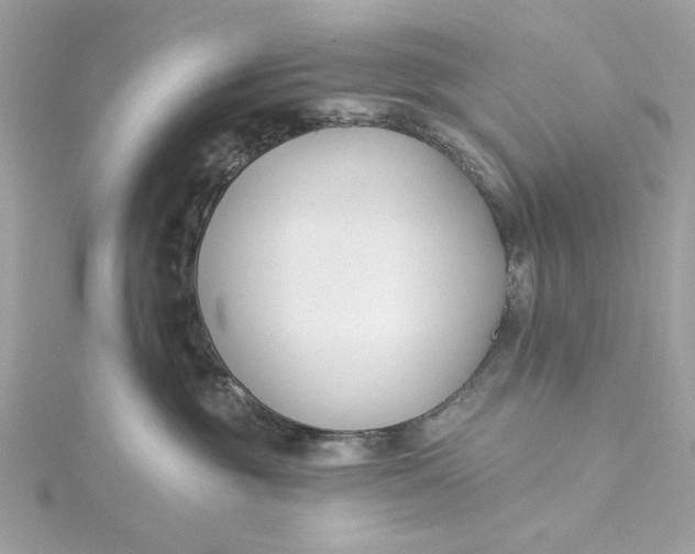 X0000115430381200911251231