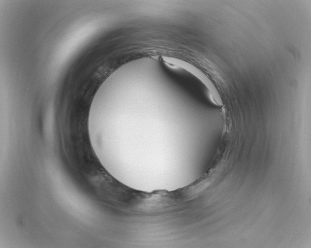 X0000115430382200911251231