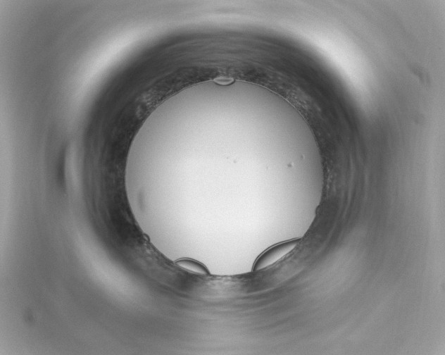 X0000115430383200911251231