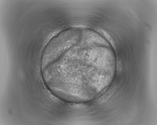 X0000115430385200911251230