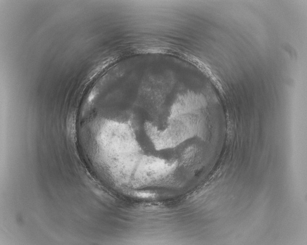 X0000115430386200911251230