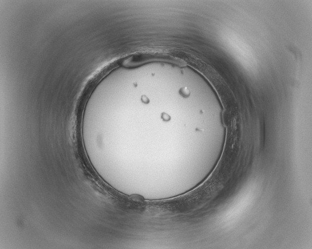 X0000115430388200911251230