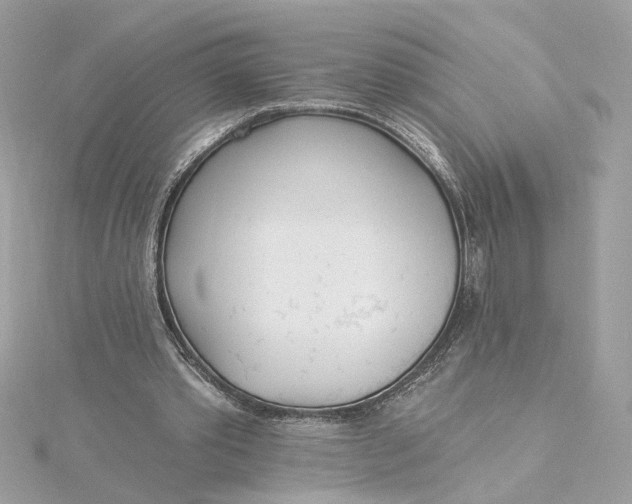 X0000115430389200911251230