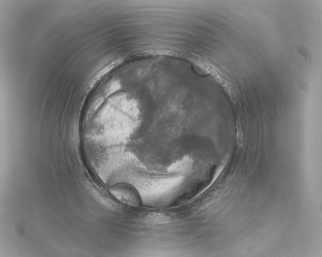 X0000115430390200911251230