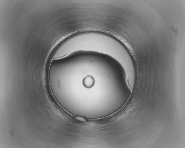 X0000115430391200911251230