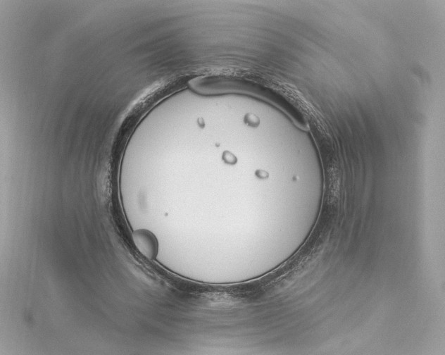 X0000115430392200911251230