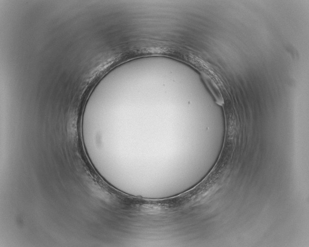 X0000115430394200911251230