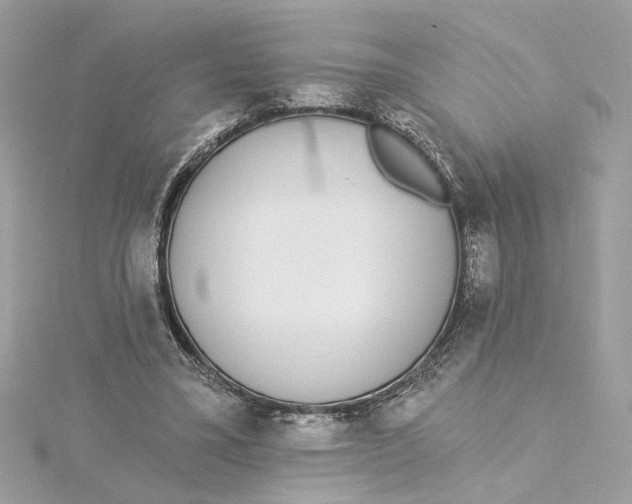 X0000115430395200911251230