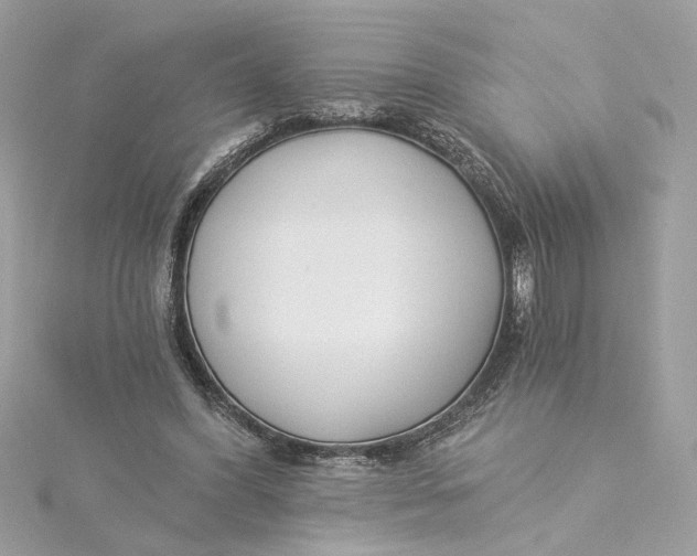 X0000115430396200911251230