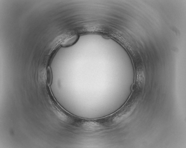 X0000115430397200911251230