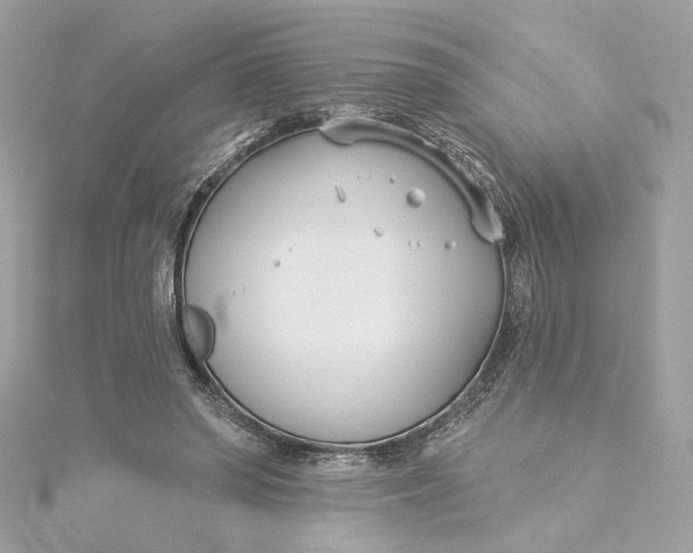 X0000115430398200911251230