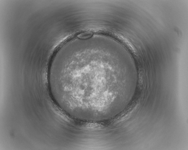 X0000115430399200911251230