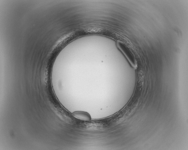 X0000115430400200911251230