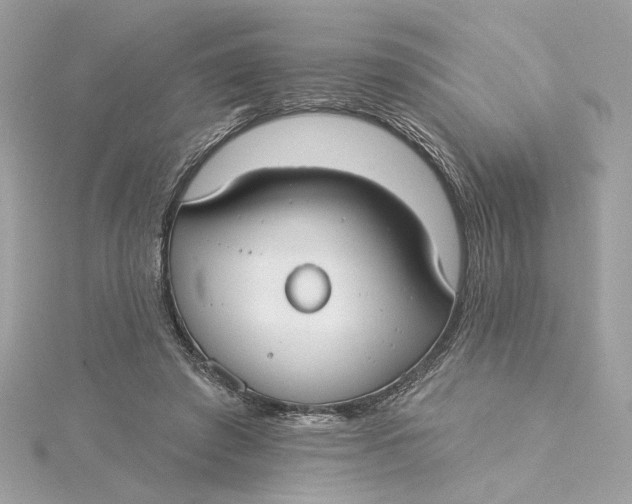 X0000115430401200911251230