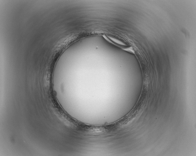 X0000115430402200911251230