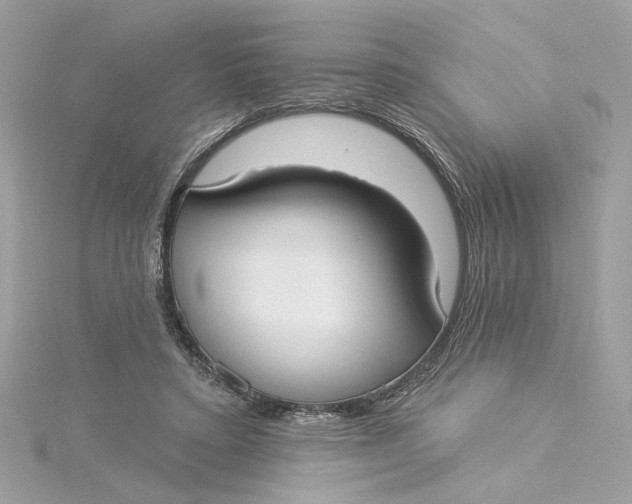 X0000115430403200911251230