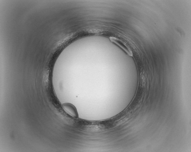 X0000115430404200911251230