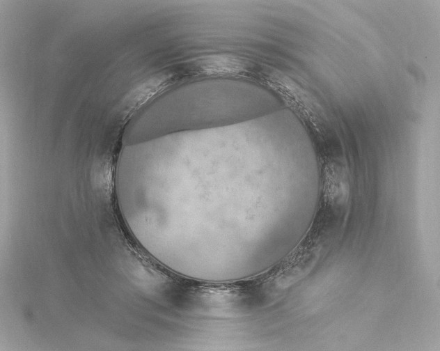 X0000115430405200911251230