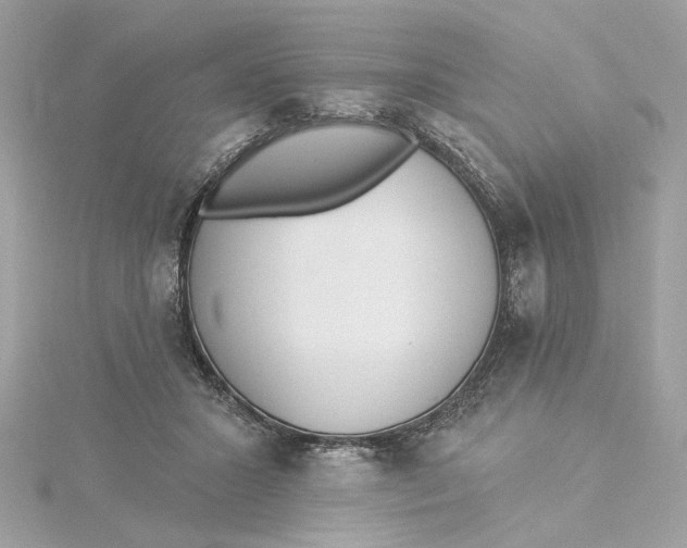 X0000115430407200911251230