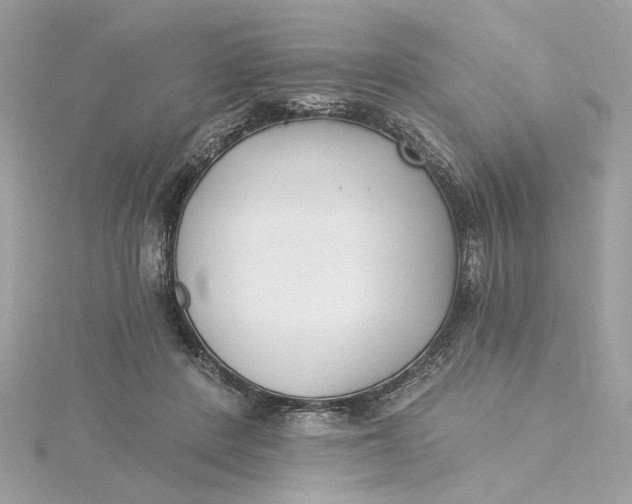 X0000115430408200911251230