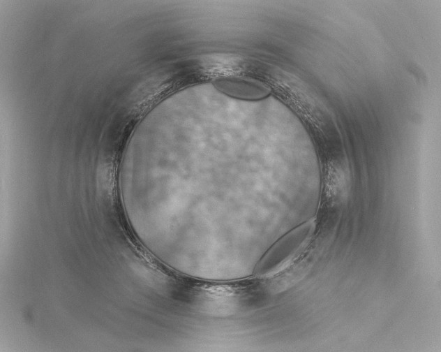 X0000115430409200911251230