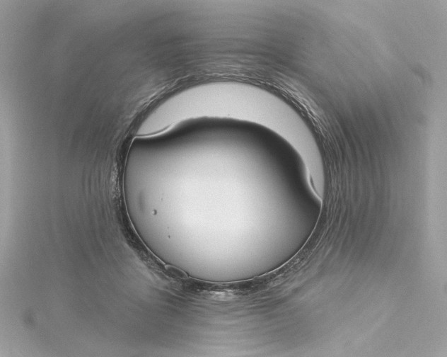 X0000115430411200911251230