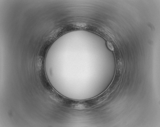 X0000115430412200911251230