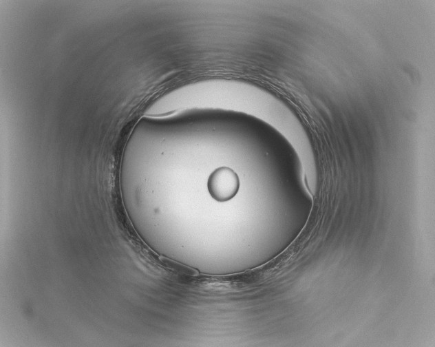 X0000115430413200911251230