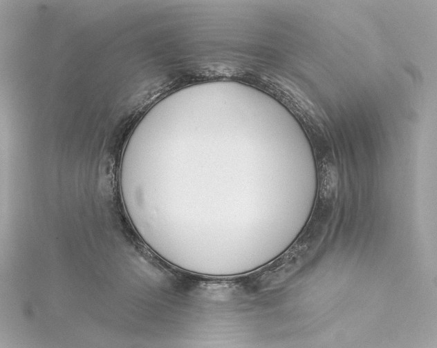 X0000115430414200911251229